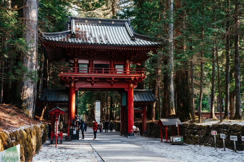 At Futarasan Shrine, Japan Youth Travel admires the ancient torii gates and spiritual atmosphere.